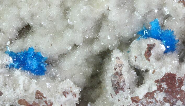 Vibrant Blue Cavansite Clusters on Stilbite - India #67798